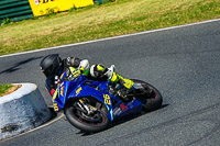 enduro-digital-images;event-digital-images;eventdigitalimages;mallory-park;mallory-park-photographs;mallory-park-trackday;mallory-park-trackday-photographs;no-limits-trackdays;peter-wileman-photography;racing-digital-images;trackday-digital-images;trackday-photos